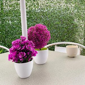 Standaard Kamer met Twee Aparte Bedden